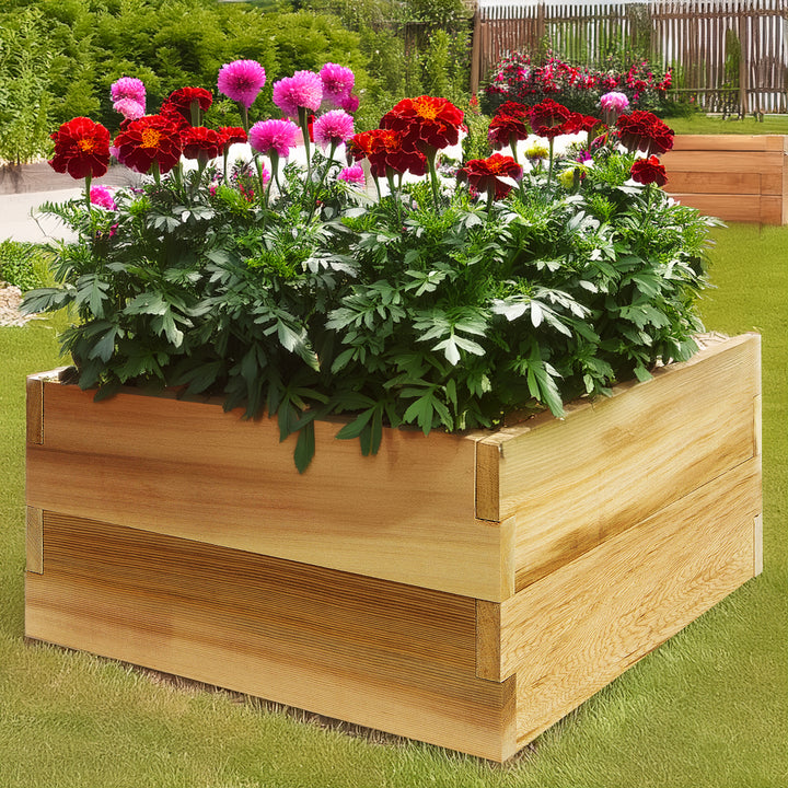 2-ft Square 2-Tier Raised Cedar Garden Box RG24-2