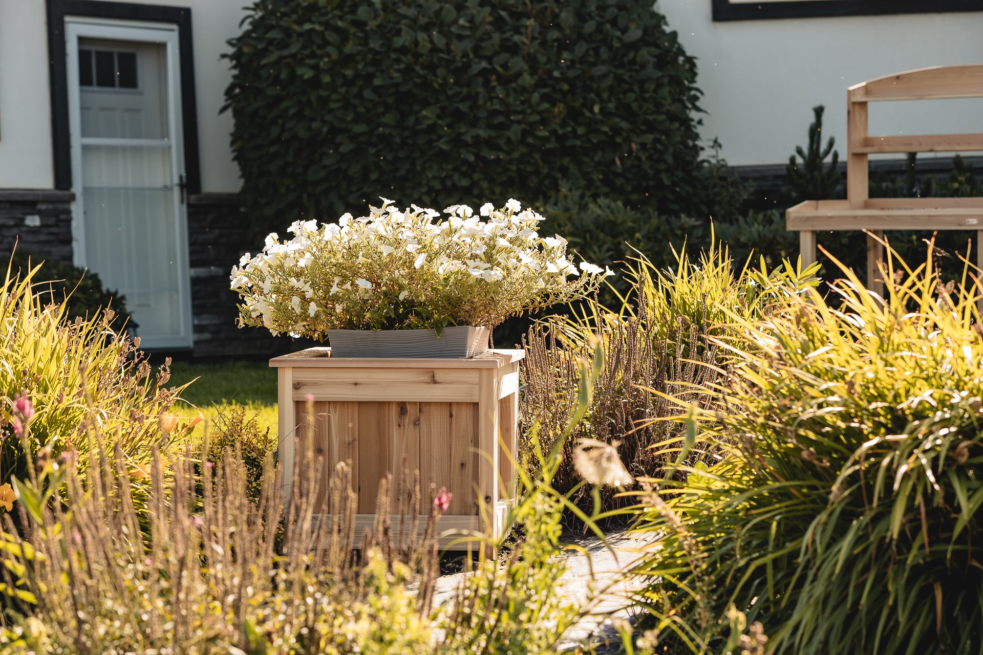 2-Ft Cedar Planter Box – All Things Cedar
