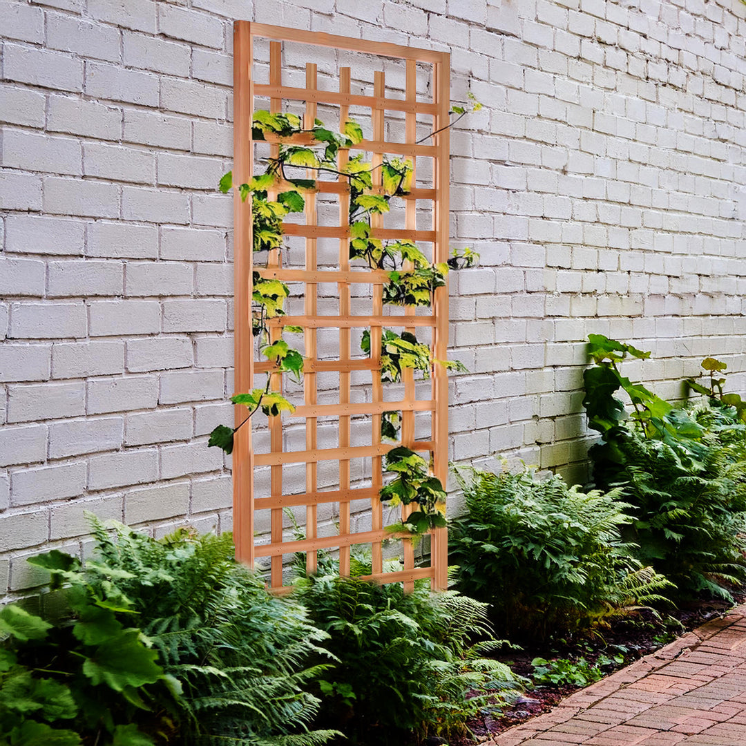 wall trellis for climbing plants All Things Cedar Trellis Panel