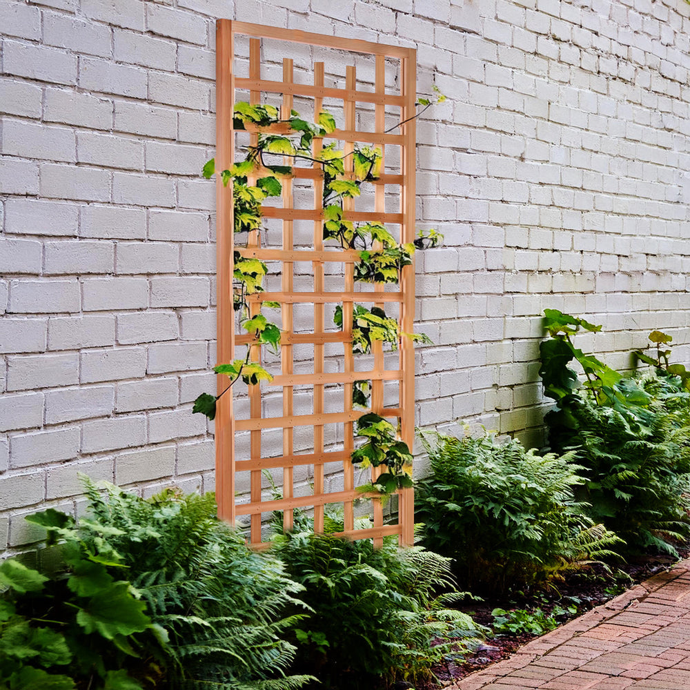 Cedar trellis mounted on a wall with green climbing vines and lush ferns below