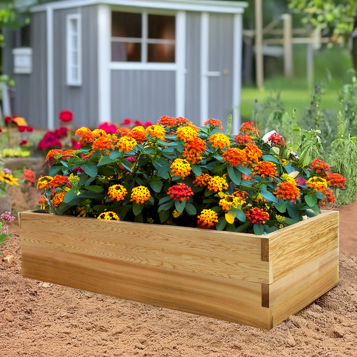 4x2 Ft Raised Garden Expandable Cedar Planter Box